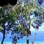 Panorama 아파트 *