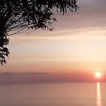 Panorama *