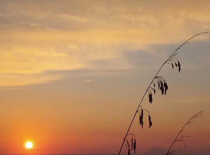 Panorama Lejlighed *