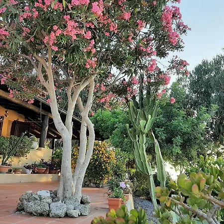 Villa Panorama Apartment *