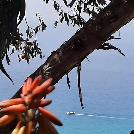 Villa Panorama Apartment