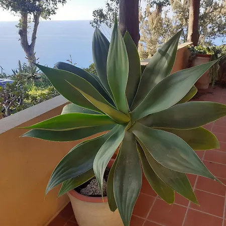 Apartamento Panorama