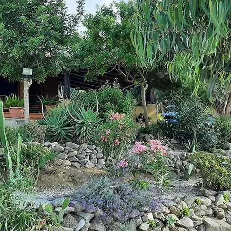 Apartment Villa Panorama *