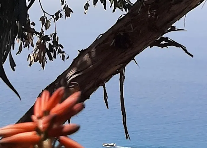 Villa Panorama Apartment