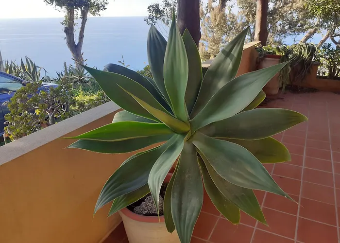 Apartment Villa Panorama